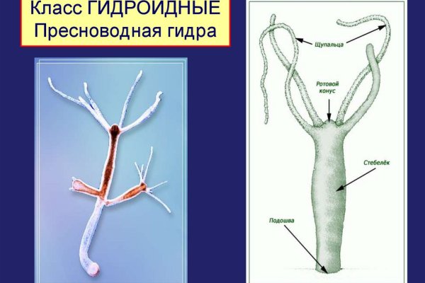 Гидра сайт в тор браузере ссылка